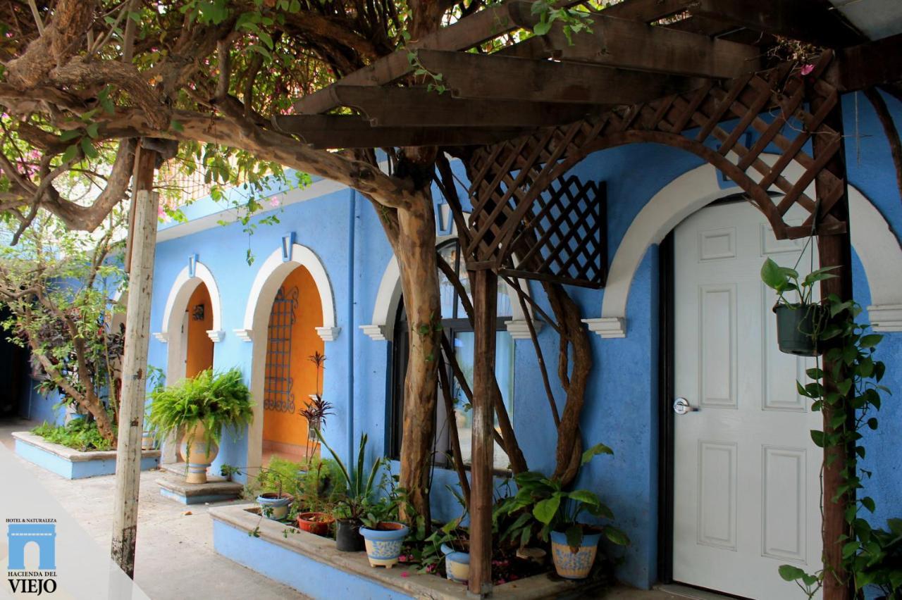 Hotel Hacienda Del Viejo Matamoros  Ngoại thất bức ảnh
