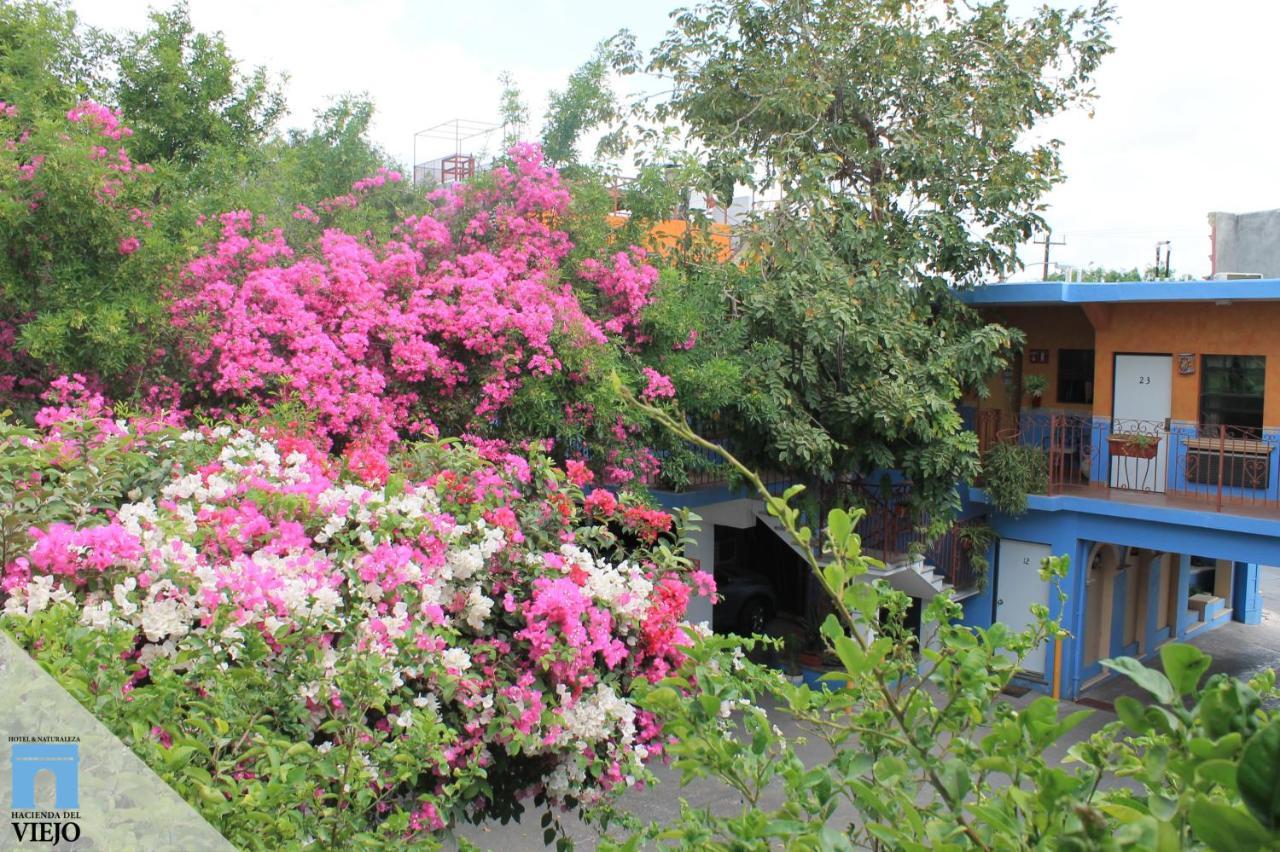 Hotel Hacienda Del Viejo Matamoros  Ngoại thất bức ảnh